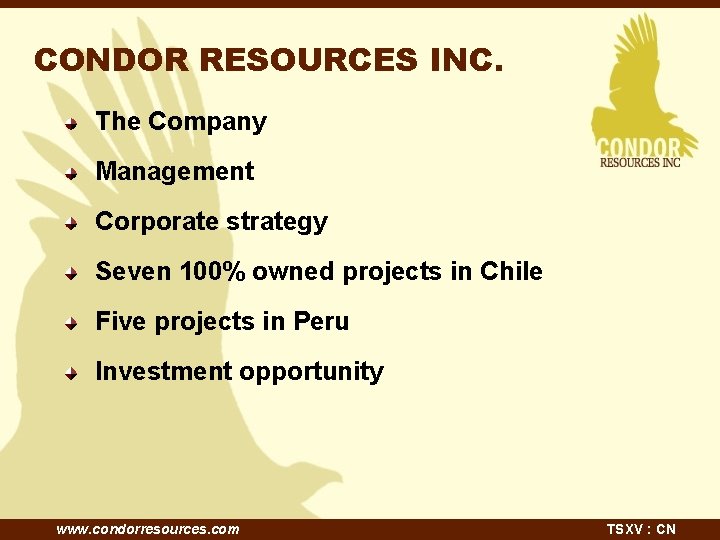 CONDOR RESOURCES INC. The Company Management Corporate strategy Seven 100% owned projects in Chile