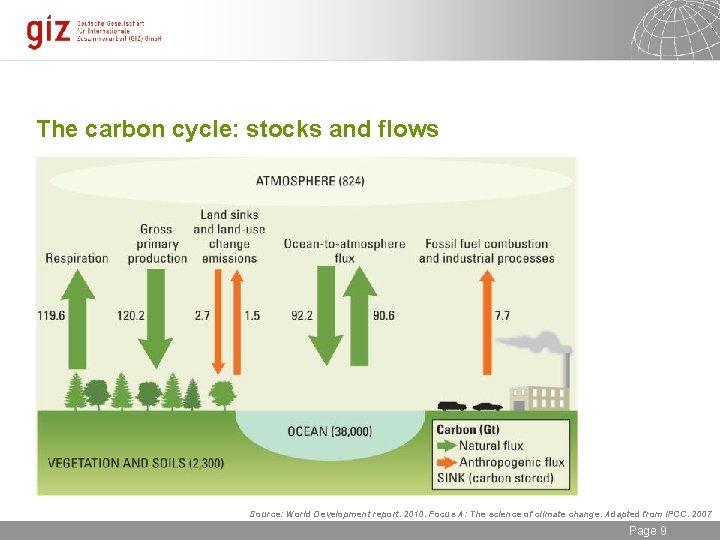 The carbon cycle: stocks and flows Source: World Development report. 2010. Focus A: The