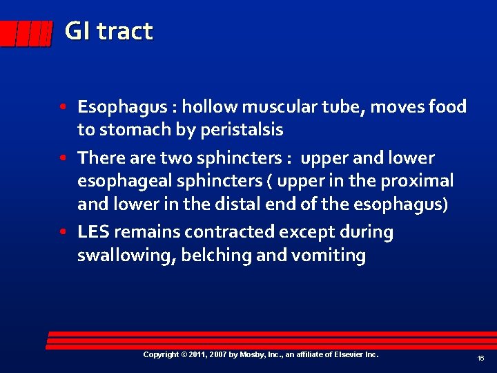 GI tract • Esophagus : hollow muscular tube, moves food to stomach by peristalsis