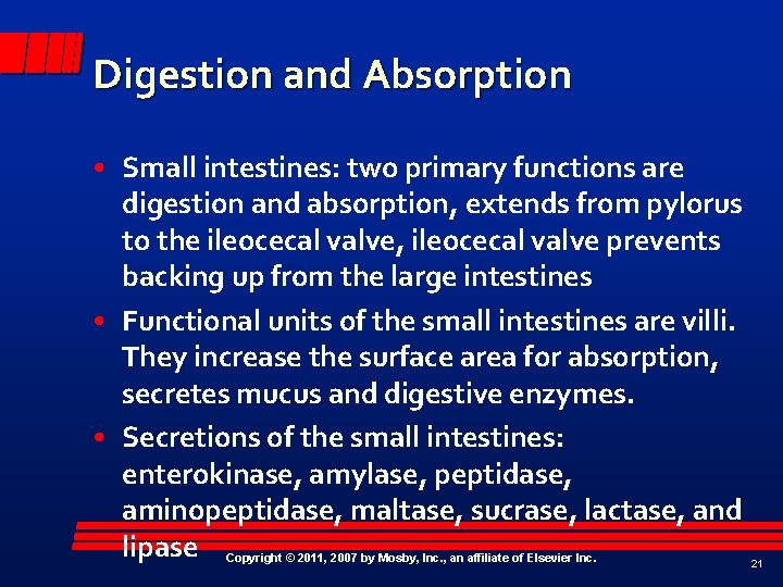 Digestion and Absorption • Small intestines: two primary functions are digestion and absorption, extends