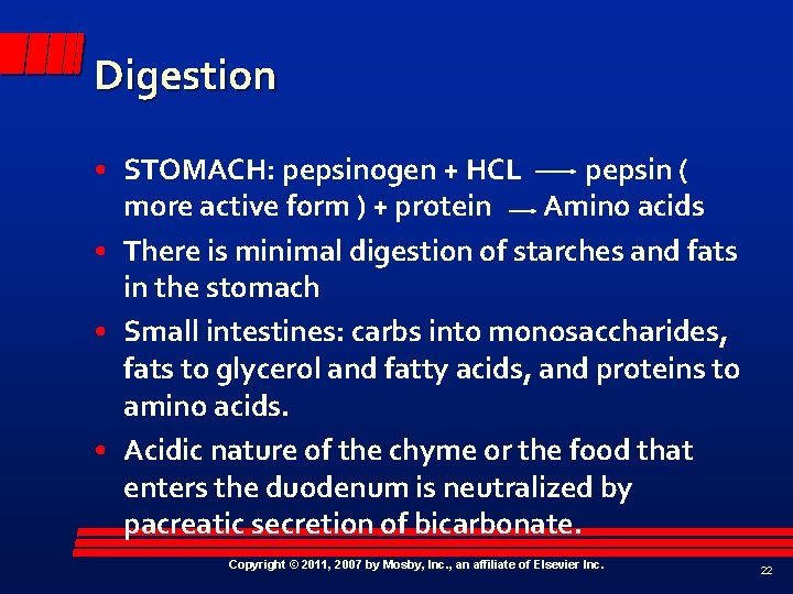 Digestion • STOMACH: pepsinogen + HCL pepsin ( more active form ) + protein