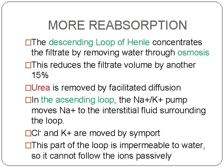 MORE REABSORPTION �The descending Loop of Henle concentrates the filtrate by removing water through