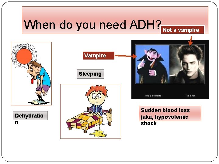 When do you need ADH? Not a vampire Vampire Sleeping Dehydratio n Sudden blood