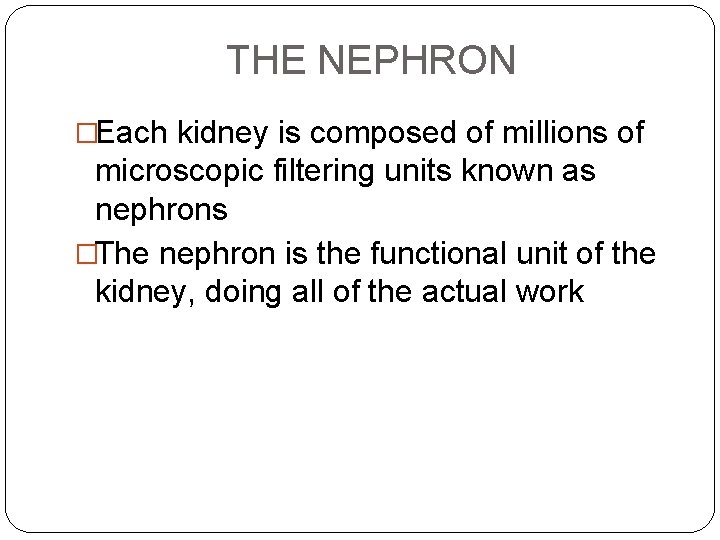 THE NEPHRON �Each kidney is composed of millions of microscopic filtering units known as