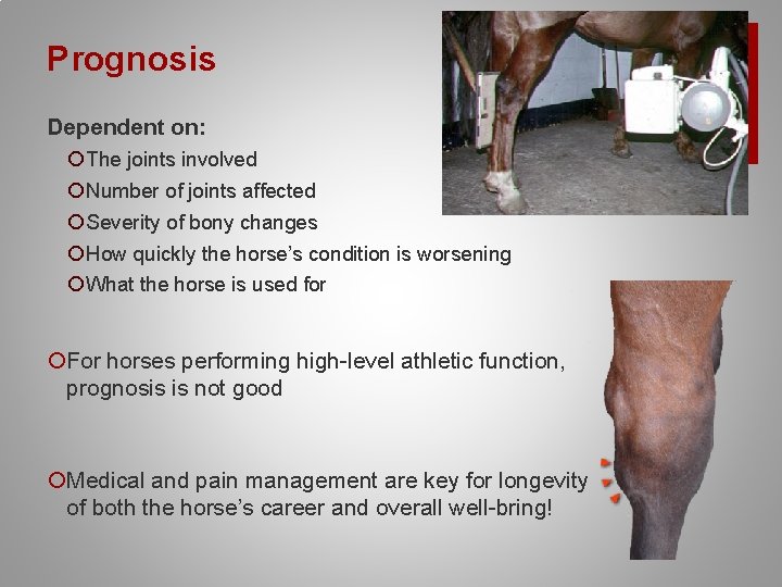Prognosis Dependent on: ¡ The joints involved ¡ Number of joints affected ¡ Severity