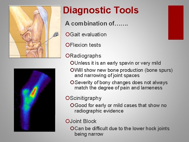 Diagnostic Tools A combination of……. ¡Gait evaluation ¡Flexion tests ¡Radiographs ¡ Unless it is