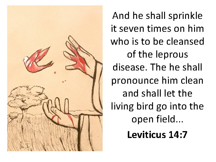 And he shall sprinkle it seven times on him who is to be cleansed