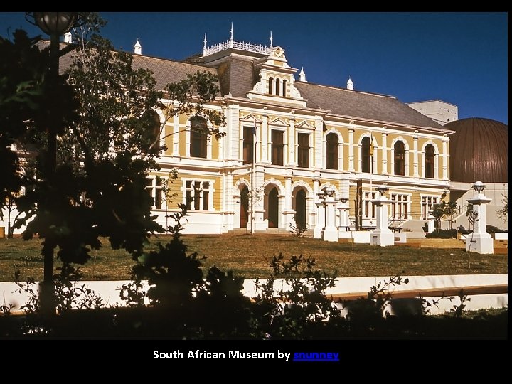 South African Museum by snunney 