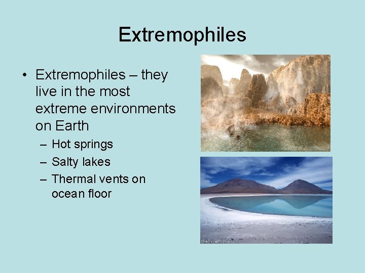 Extremophiles • Extremophiles – they live in the most extreme environments on Earth –