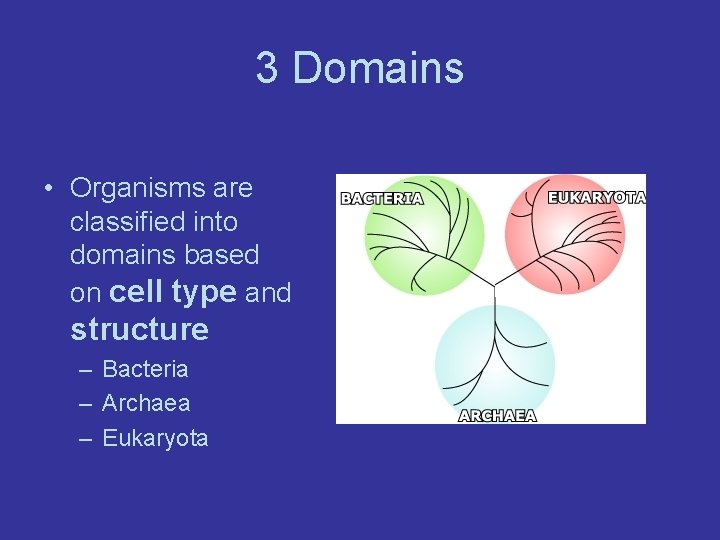 3 Domains • Organisms are classified into domains based on cell type and structure