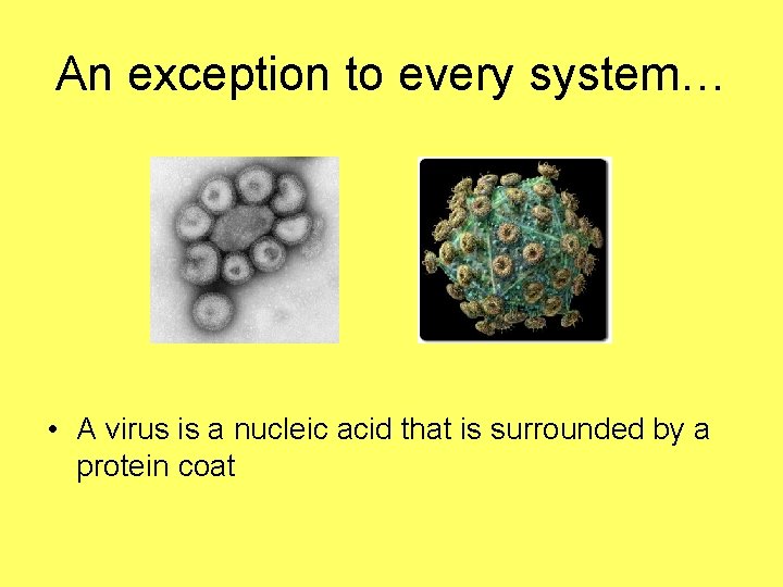 An exception to every system… • A virus is a nucleic acid that is