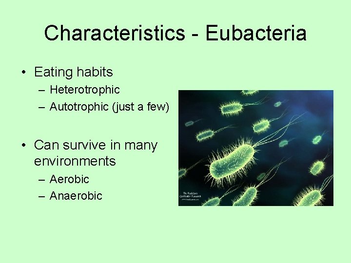 Characteristics - Eubacteria • Eating habits – Heterotrophic – Autotrophic (just a few) •