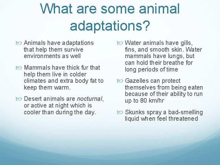 What are some animal adaptations? Animals have adaptations that help them survive environments as
