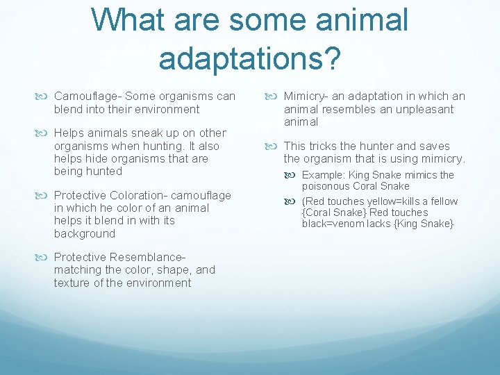 What are some animal adaptations? Camouflage- Some organisms can blend into their environment Helps
