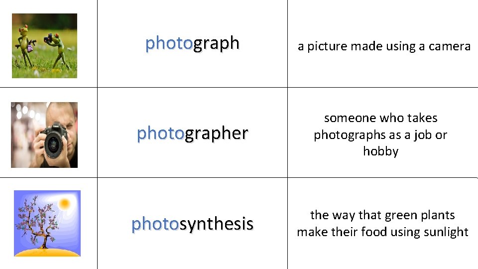 photograph a picture made using a camera photographer someone who takes photographs as a