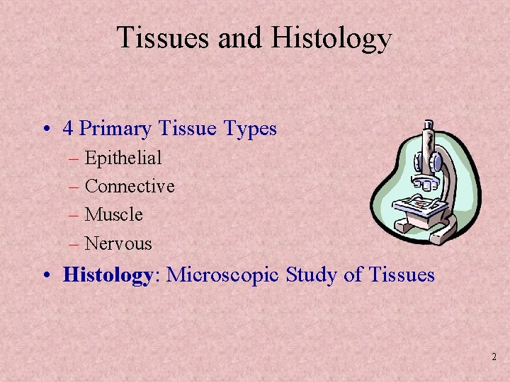 Tissues and Histology • 4 Primary Tissue Types – Epithelial – Connective – Muscle