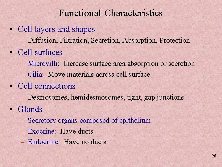 Functional Characteristics • Cell layers and shapes – Diffusion, Filtration, Secretion, Absorption, Protection •