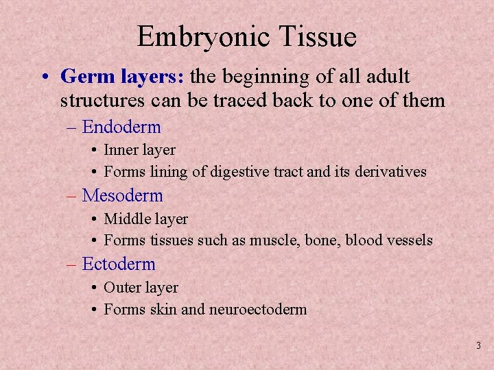 Embryonic Tissue • Germ layers: the beginning of all adult structures can be traced