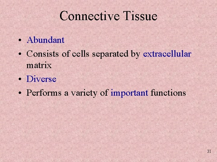 Connective Tissue • Abundant • Consists of cells separated by extracellular matrix • Diverse