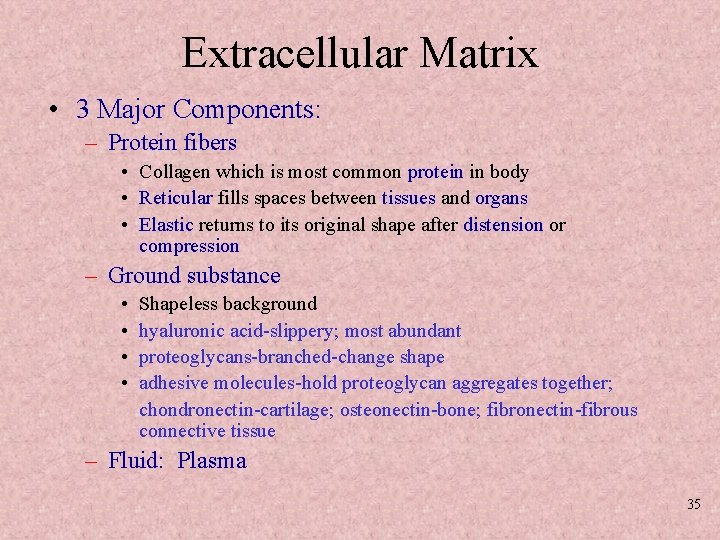 Extracellular Matrix • 3 Major Components: – Protein fibers • Collagen which is most