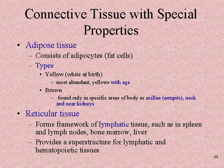 Connective Tissue with Special Properties • Adipose tissue – Consists of adipocytes (fat cells)