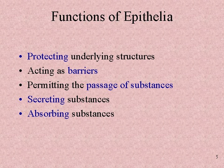 Functions of Epithelia • • • Protecting underlying structures Acting as barriers Permitting the