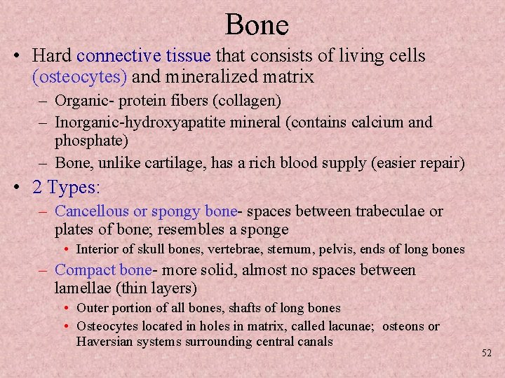 Bone • Hard connective tissue that consists of living cells (osteocytes) and mineralized matrix