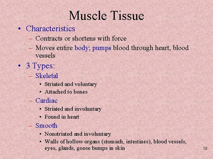 Muscle Tissue • Characteristics – Contracts or shortens with force – Moves entire body;