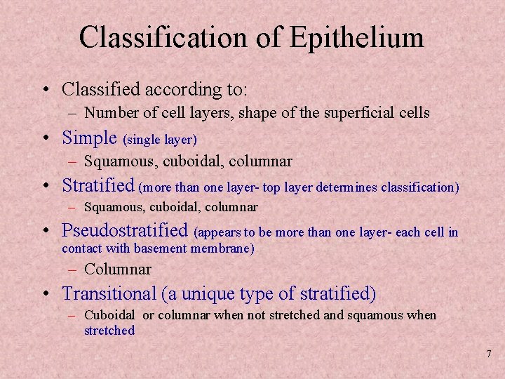 Classification of Epithelium • Classified according to: – Number of cell layers, shape of