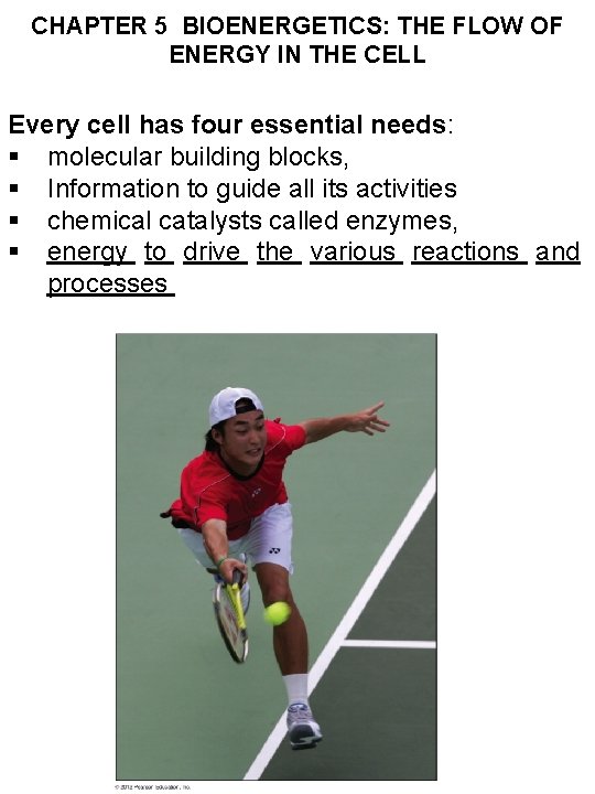CHAPTER 5 BIOENERGETICS: THE FLOW OF ENERGY IN THE CELL Every cell has four