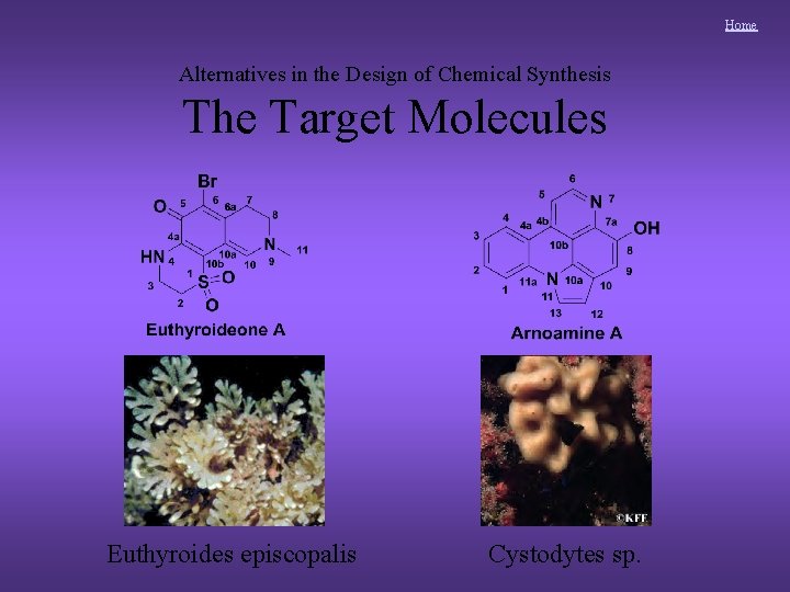 Home Alternatives in the Design of Chemical Synthesis The Target Molecules Euthyroides episcopalis Cystodytes