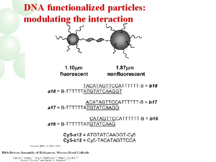 DNA functionalized particles: modulating the interaction 
