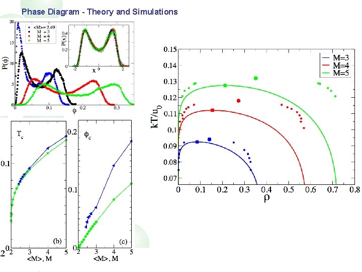 Phase Diagram - Theory and Simulations 