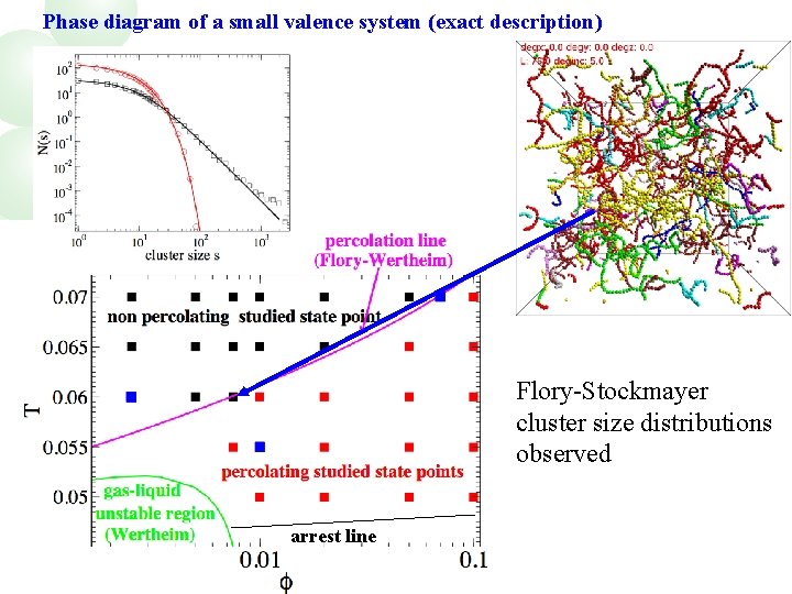 Phase diagram of a small valence system (exact description) Flory-Stockmayer cluster size distributions observed