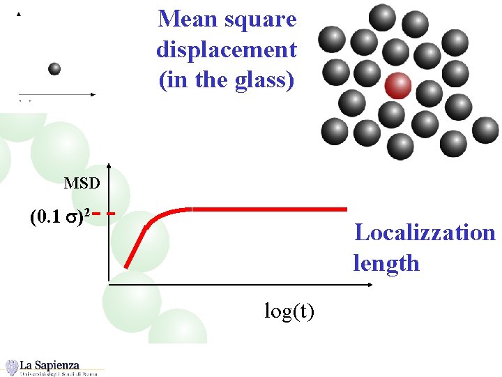 Mean square displacement (in the glass) MSD (0. 1 s)2 Localizzation length log(t) 