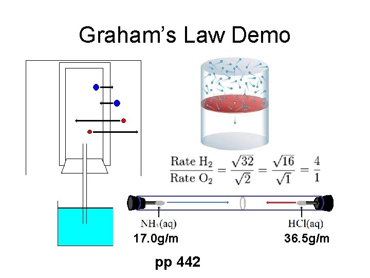 Graham’s Law Demo 17. 0 g/m pp 442 36. 5 g/m 