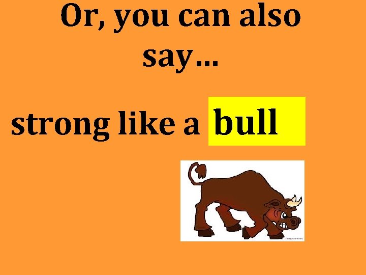 Or, you can also say… strong like a bull Or, you can also say… strong like a bull