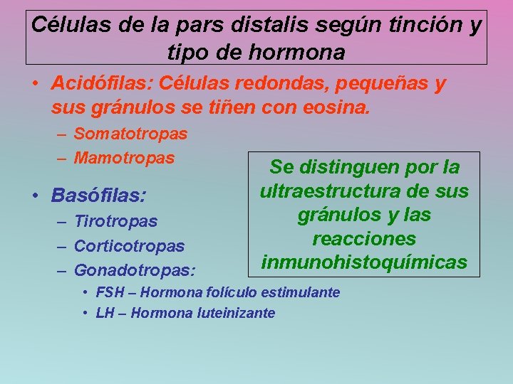 Células de la pars distalis según tinción y tipo de hormona • Acidófilas: Células