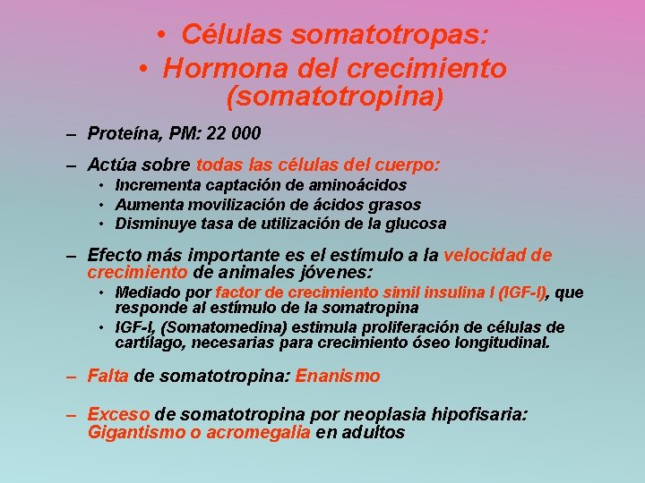  • Células somatotropas: • Hormona del crecimiento (somatotropina) – Proteína, PM: 22 000