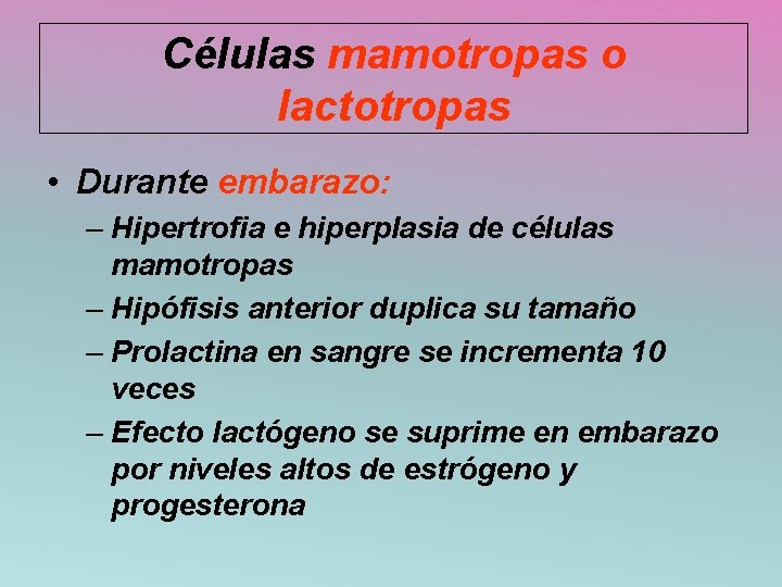 Células mamotropas o lactotropas • Durante embarazo: – Hipertrofia e hiperplasia de células mamotropas