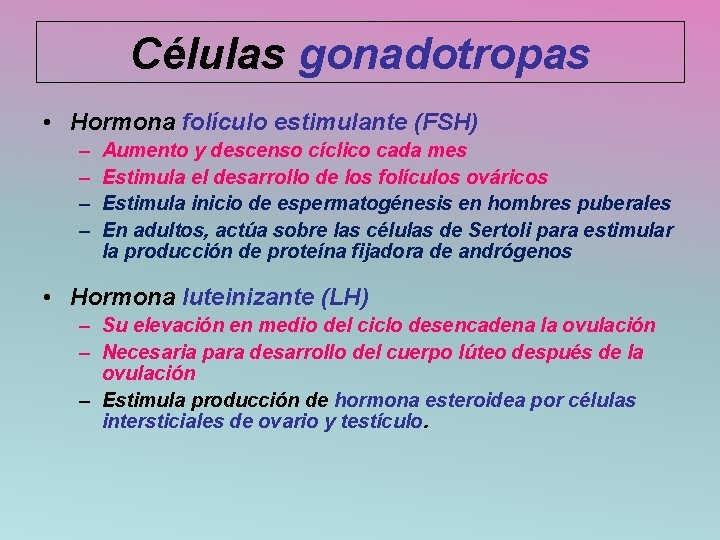 Células gonadotropas • Hormona folículo estimulante (FSH) – – Aumento y descenso cíclico cada