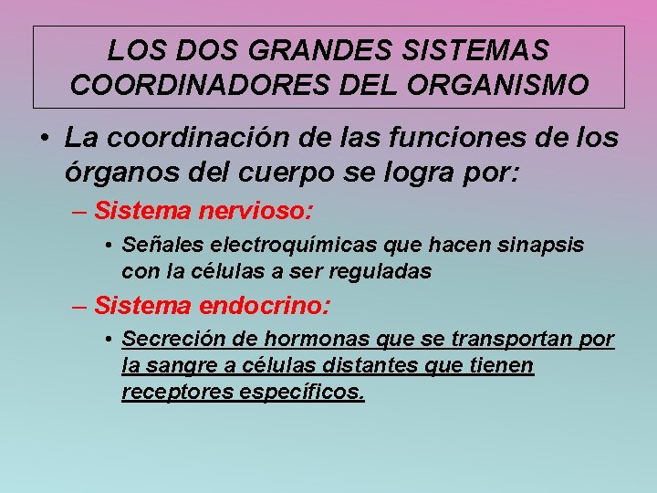 LOS DOS GRANDES SISTEMAS COORDINADORES DEL ORGANISMO • La coordinación de las funciones de