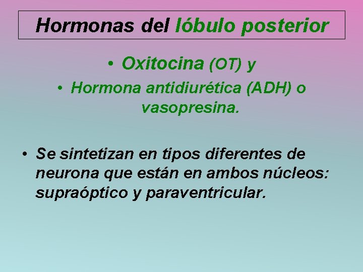 Hormonas del lóbulo posterior • Oxitocina (OT) y • Hormona antidiurética (ADH) o vasopresina.