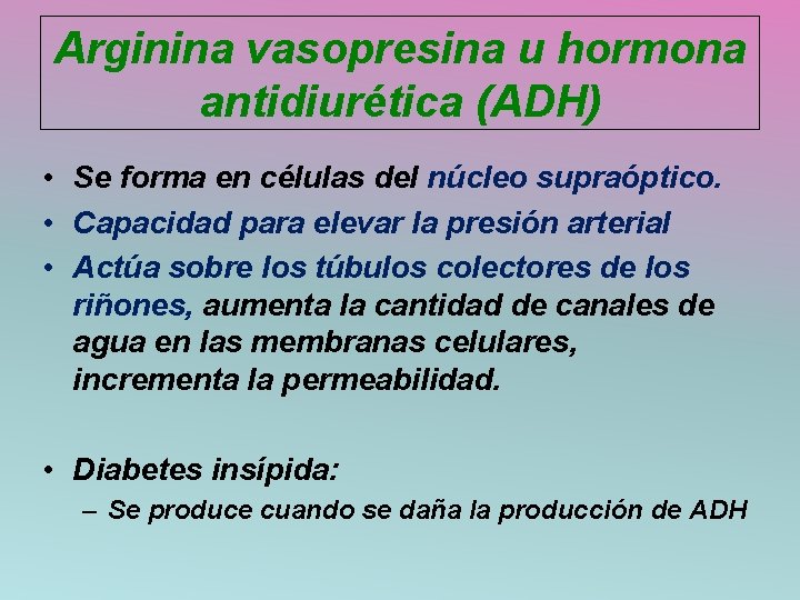 Arginina vasopresina u hormona antidiurética (ADH) • Se forma en células del núcleo supraóptico.