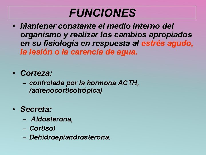 FUNCIONES • Mantener constante el medio interno del organismo y realizar los cambios apropiados