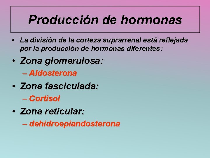 Producción de hormonas • La división de la corteza suprarrenal está reflejada por la