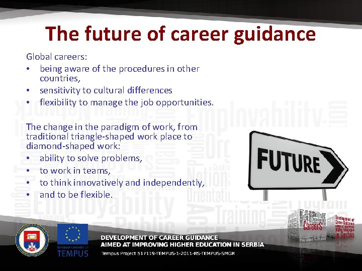 The future of career guidance Global careers: • being aware of the procedures in