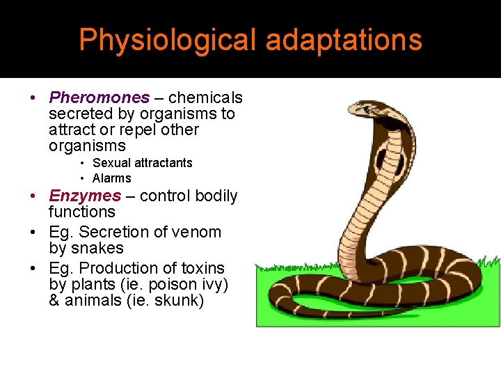 Physiological adaptations • Pheromones – chemicals secreted by organisms to attract or repel other Physiological adaptations • Pheromones – chemicals secreted by organisms to attract or repel other