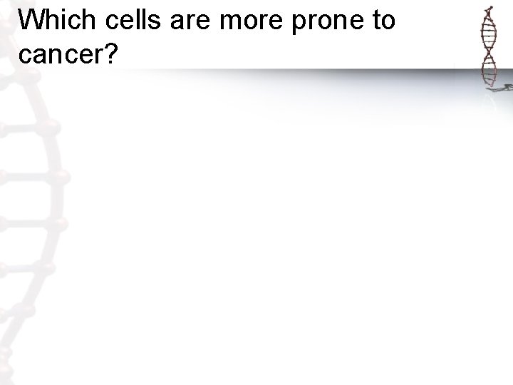 Which cells are more prone to cancer? 