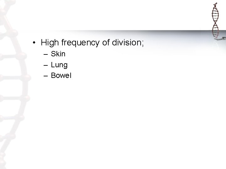  • High frequency of division; – Skin – Lung – Bowel 